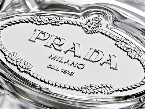 flavi e prada svizzera|A Hundred and Ten Years of Prada .